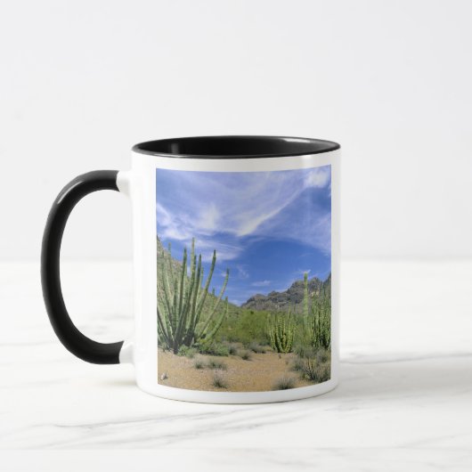 Mug Cactus du désert à Organ Pipe National Monument, (Gauche)