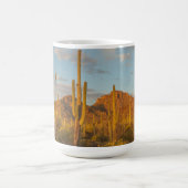 Mug Cactus du Saguaro au coucher du soleil, Arizona (Centre)