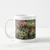 Mug Cactus multicolores (Gauche)