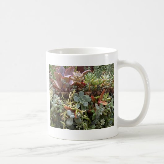 Mug Cactus multicolores (Droite)