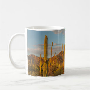 Mug Cactus saguaro au coucher du soleil, Arizona