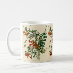 Mug Cadeau vintage Audubon Peinture de colibri
