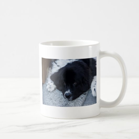 Mug Cadeaux précieux de Landseer Terre-Neuve (Droite)