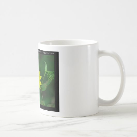 Mug Cadeaux tournesol boisé du parc national de Hot Sp (Droite)