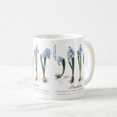Mug Café de Gardener (Devant droit)