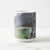 Mug café écureuil (Centre)