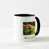 Mug Café Kona (Devant droit)