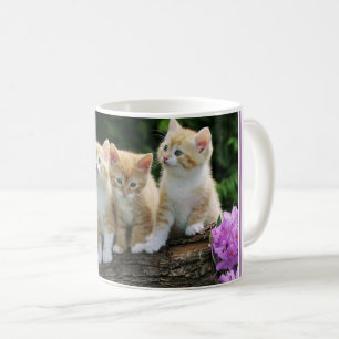 Mug Café Mug-Kittens