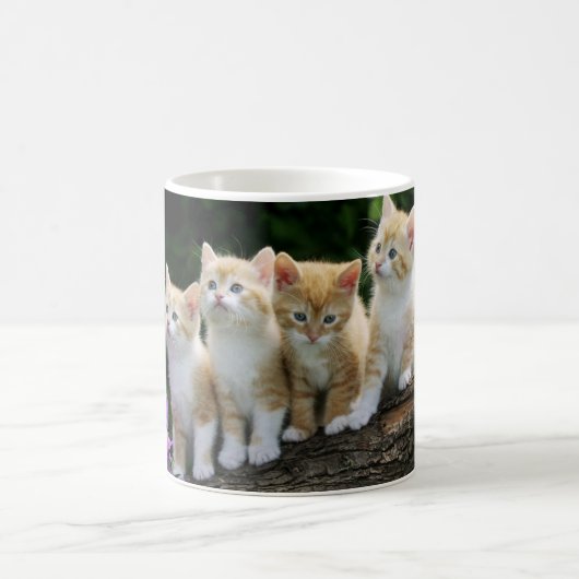 Mug Café Mug-Kittens (Centre)