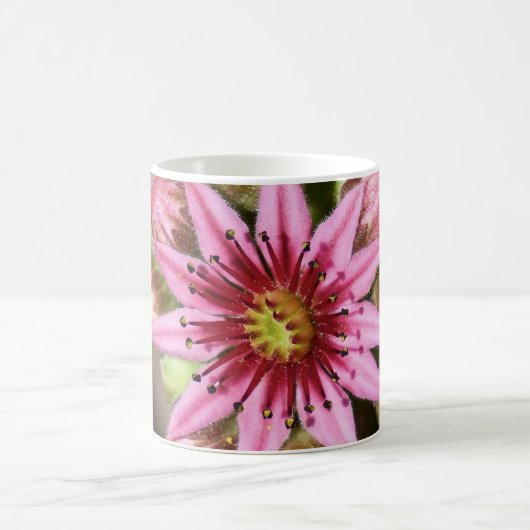 Mug Café rose Fleur Mag (Centre)