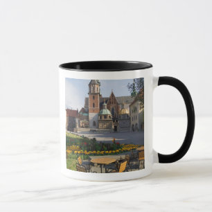 Mug Café surplombant la cathédrale Wawel, colline Wawe