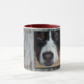 Mug Caffein obtenu ? (Centre)