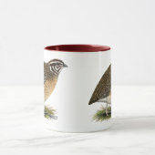 Mug Cailles de pharaon de Coturnix (Centre)
