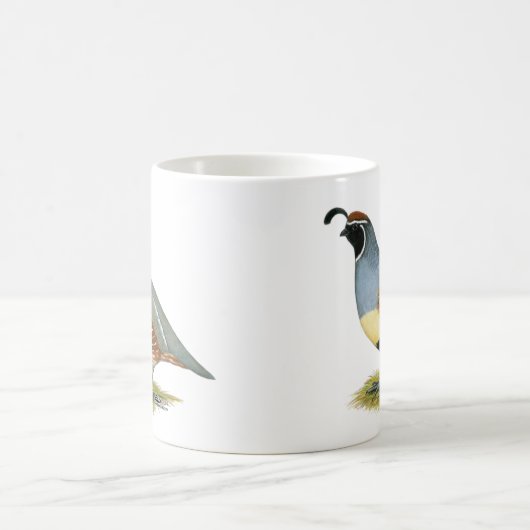 Mug Cailles du désert de Gambel (Centre)