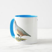 Mug Cailles du désert de Gambel (Devant gauche)