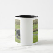 Mug Calèche amish sur une route de campagne, Ohio du N (Centre)
