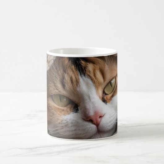 Mug Calico Cat et couverture (Centre)