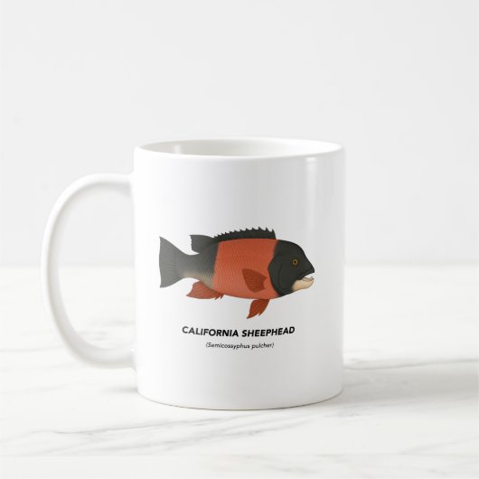 Mug California Sheephead - Animaux marins de Californi (Gauche)