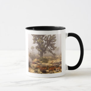 Mug Californie : monument national de Joshua Tree,