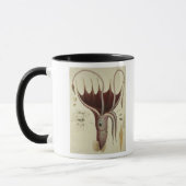 Mug Calmar, Pl.2 de 'Histoire Naturelle (Gauche)