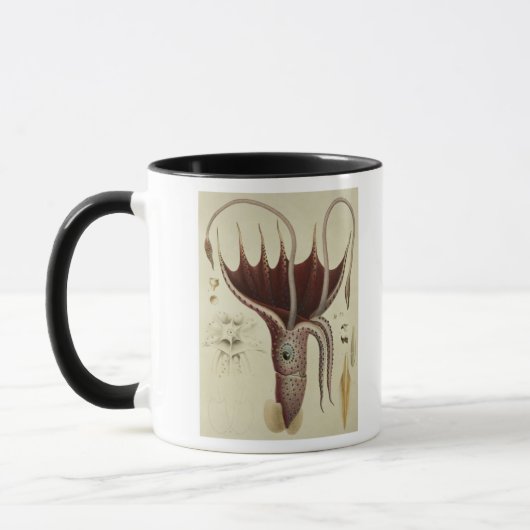 Mug Calmar, Pl.2 de 'Histoire Naturelle (Gauche)