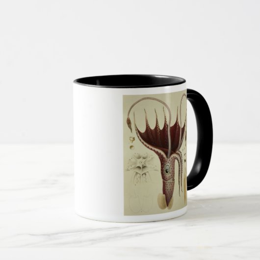Mug Calmar, Pl.2 de 'Histoire Naturelle (Devant droit)
