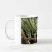 Mug Calumma Parsonii (Gauche)