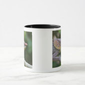 Mug Caméléon d'éléphant, Madagascar (Centre)