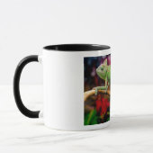 Mug Caméléon vert sur la branche (Gauche)