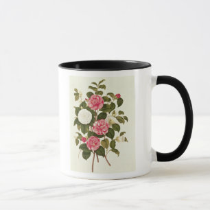 Mug Camélia "d'une monographie sur les genres