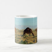 Mug Camels, Tunisie (Centre)