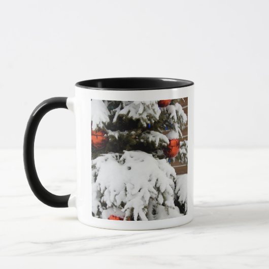 Mug Canada, Alberta, Jasper, Parc national de Jasper.  (Gauche)