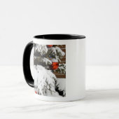 Mug Canada, Alberta, Jasper, Parc national de Jasper.  (Devant gauche)