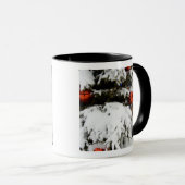 Mug Canada, Alberta, Jasper, Parc national de Jasper.  (Devant droit)
