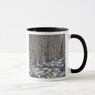 Mug Canada, Alberta, parc national de Jasper.