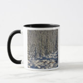 Mug Canada, Alberta, parc national de Jasper. (Gauche)