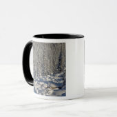 Mug Canada, Alberta, parc national de Jasper. (Devant gauche)