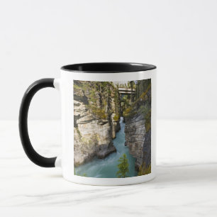 Mug Canada, Alberta, parc national de Jasper, Athabasc