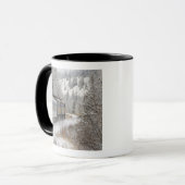 Mug Canada, Alberta. Train des neiges de VIA Rail entr (Devant gauche)