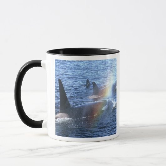 Mug Canada, Colombie-Britannique, détroit de Johnstone (Gauche)