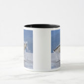Mug Canada, Colombie-Britannique, île de Vancouver, (Centre)