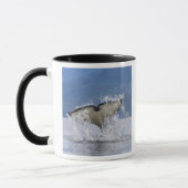 Mug Canada, Colombie-Britannique, île de Vancouver, (Gauche)