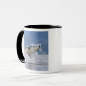 Mug Canada, Colombie-Britannique, île de Vancouver, (Devant gauche)