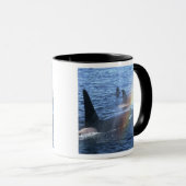 Mug Canada, Colombie-Britannique, Johnstone Straight, (Devant droit)