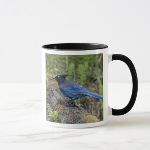 Mug Canada : Colombie-Britannique, parc national Yoho,
