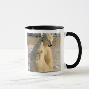 Mug Canada, Manitoba, baie d'Hudson, Churchill.