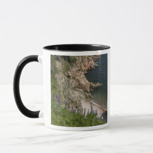 Mug Canada, Nouvelle-Écosse, île du Cap-Breton, Cabot