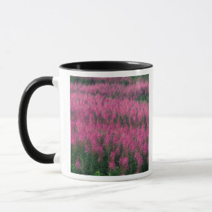 Mug Canada, Québec, Gaspé. Fleurs de Lythrum pourpre,