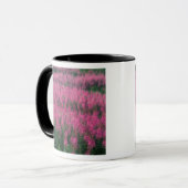 Mug Canada, Québec, Gaspe. Fleurs de Lythrum violet, (Devant gauche)