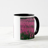 Mug Canada, Québec, Gaspe. Fleurs de Lythrum violet, (Devant droit)